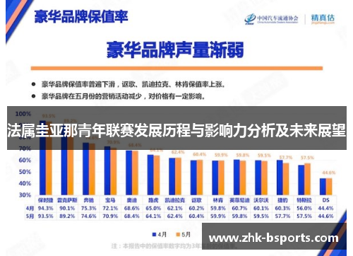 法属圭亚那青年联赛发展历程与影响力分析及未来展望